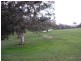 Sec 1326 Waitpinga Road, Victor Harbor SA 5211