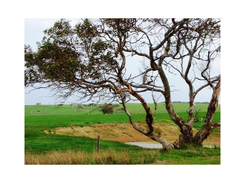 Sec 1326 Waitpinga Road, Waitpinga SA 5211