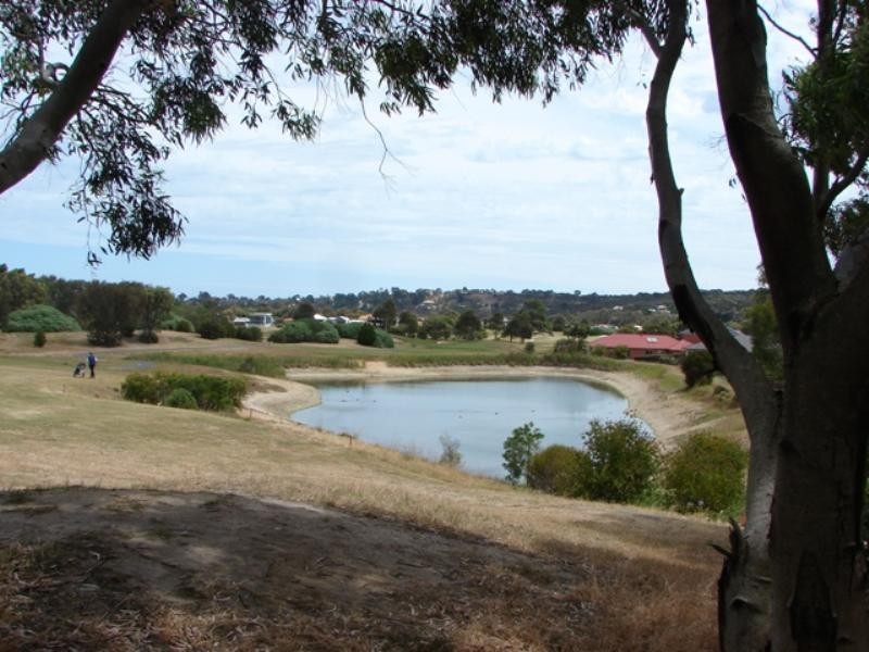 4 Riverway Court, Mccracken SA 5211