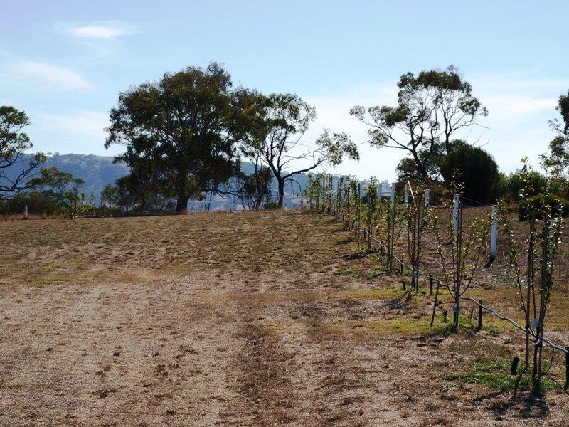 3 (Lot 101) Arabian Court, Victor Harbor SA 5211