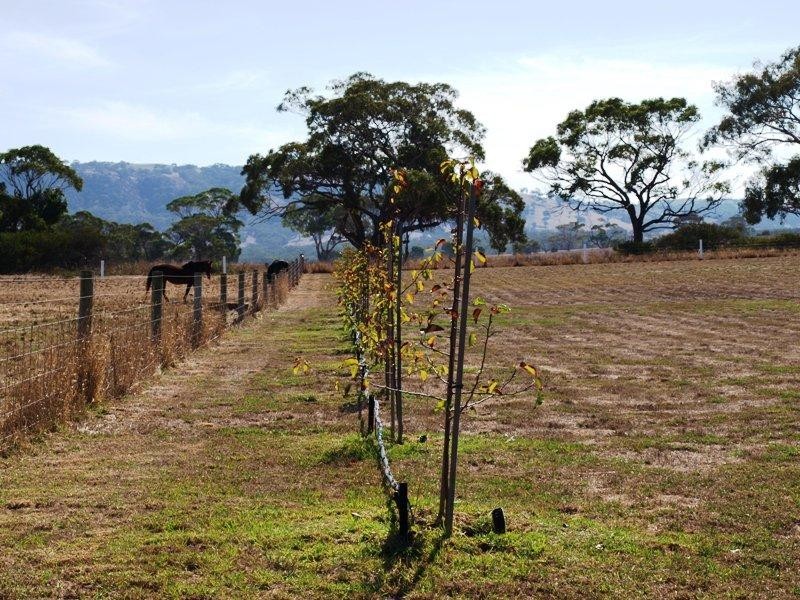 3 (Lot 101) Arabian Court, Victor Harbor SA 5211