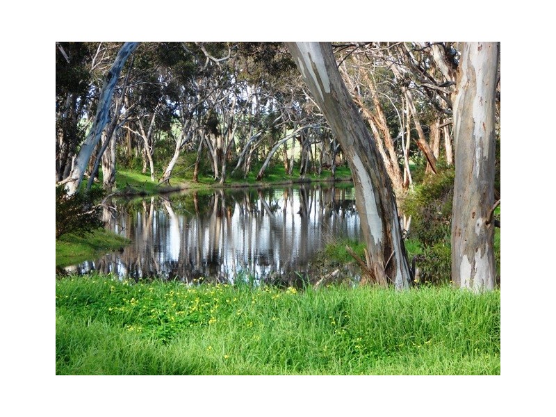 Lot 303 Waitpinga Road, Victor Harbor SA 5211