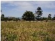Lot 67 Ozone Street, Victor Harbor SA 5211