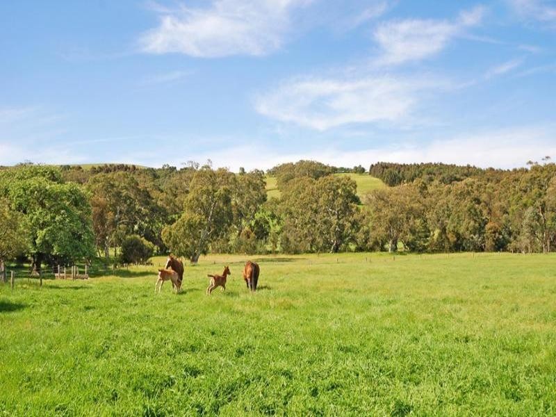 Lot 21 Dairy Flat Road, Yankalilla SA 5203