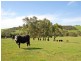 Lot 21 Dairy Flat Road, Yankalilla SA 5203