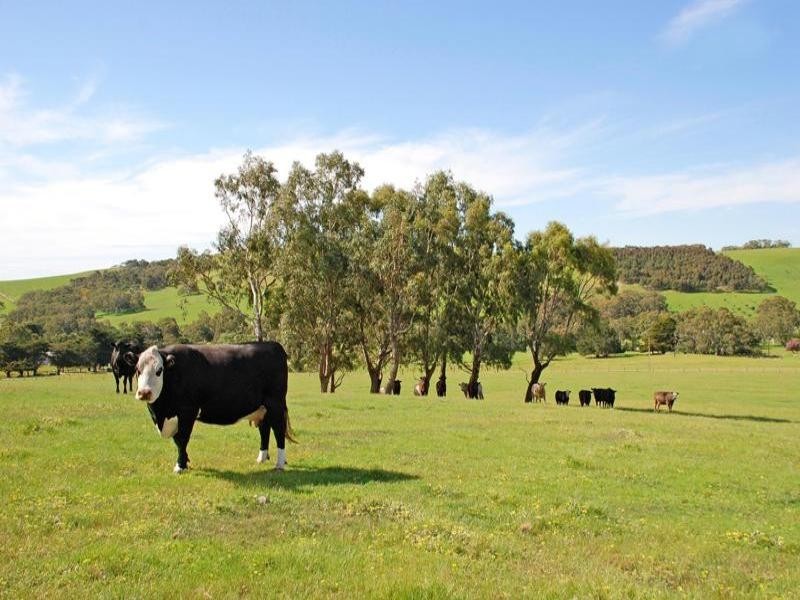 Lot 21 Dairy Flat Road, Yankalilla SA 5203