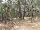 Lot 1 Rarkang Road, Silverton SA 5204