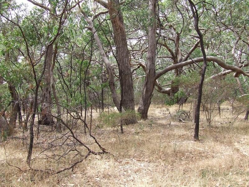 Lot 1 Rarkang Road, Silverton SA 5204