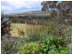 Lot 108 Back Valley Road, Back Valley SA 5211