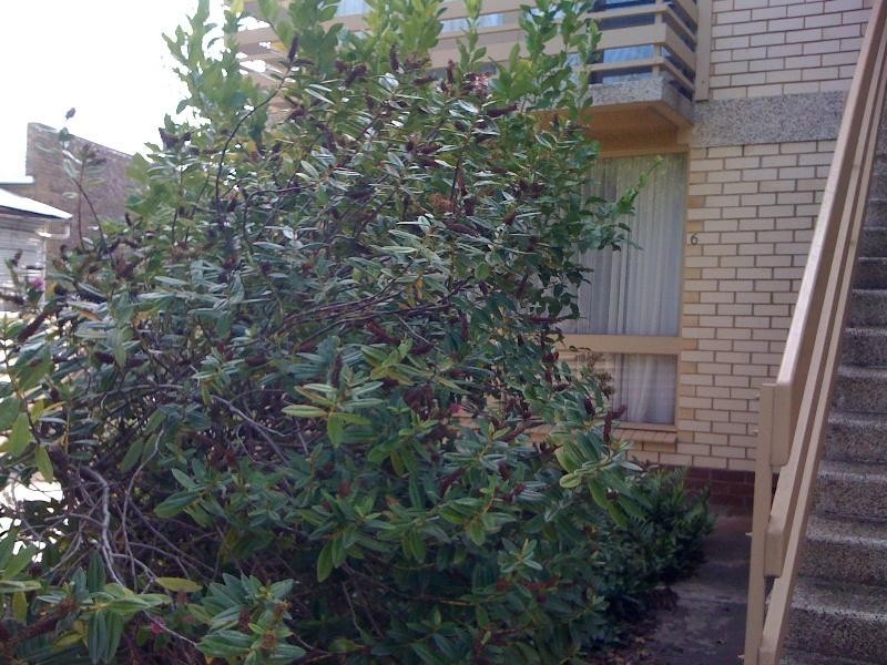 6/30 Esplanade, Victor Harbor SA 5211