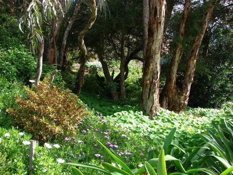 41 Gum Avenue, Victor Harbor SA 5211