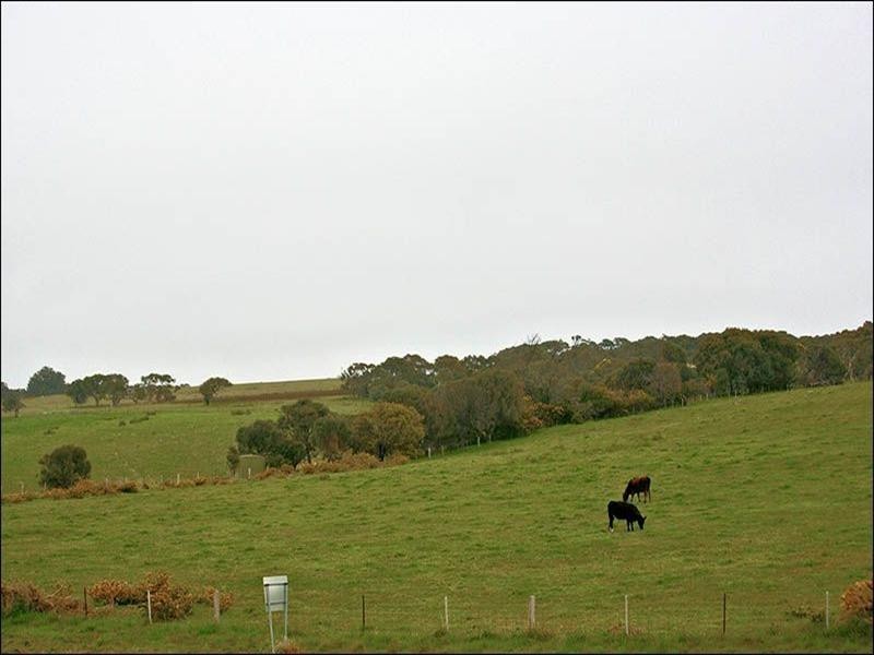 36 Three Gullies Road, Encounter Bay SA 5211