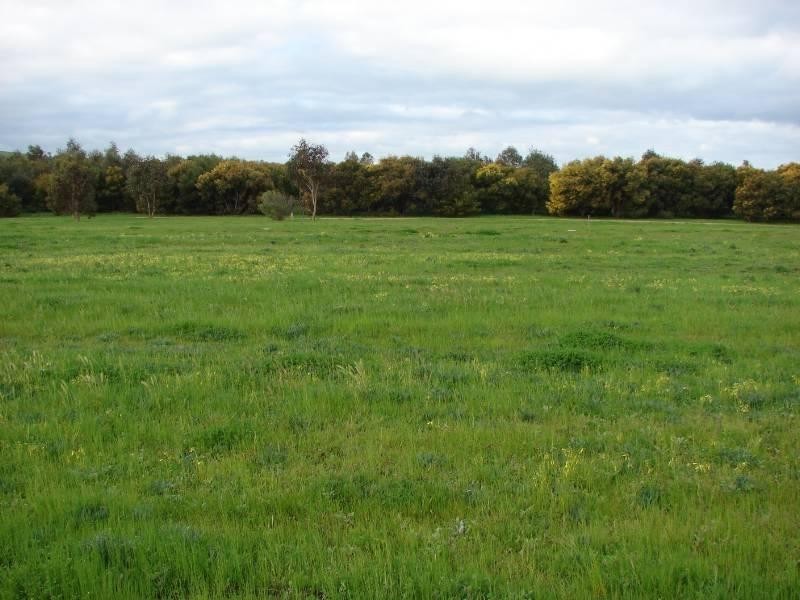 Lot 29 Sun Orchid Drive, Hayborough SA 5211