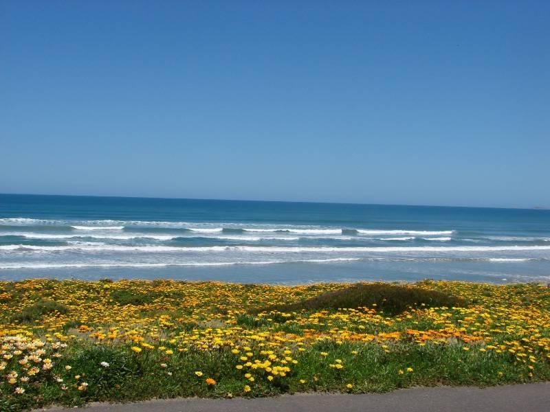 Lot 41 Condor Court, Middleton SA 5213