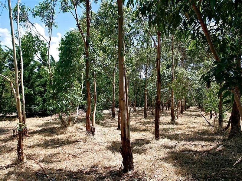 4 Shetland Court, Hindmarsh Valley SA 5211