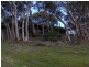 Lot 653 Range Road, Waitpinga SA 5211