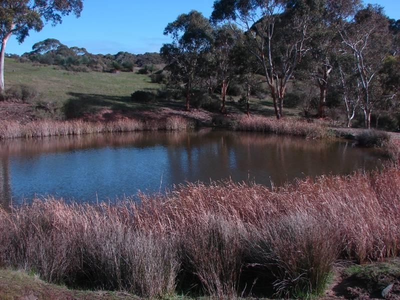 Lot 653 Range Road, Waitpinga SA 5211