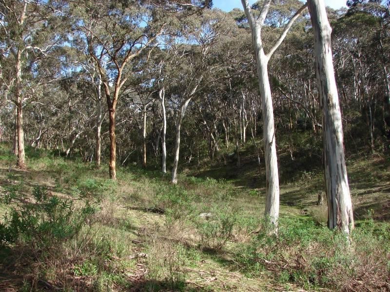 Lot 653 Range Road, Waitpinga SA 5211