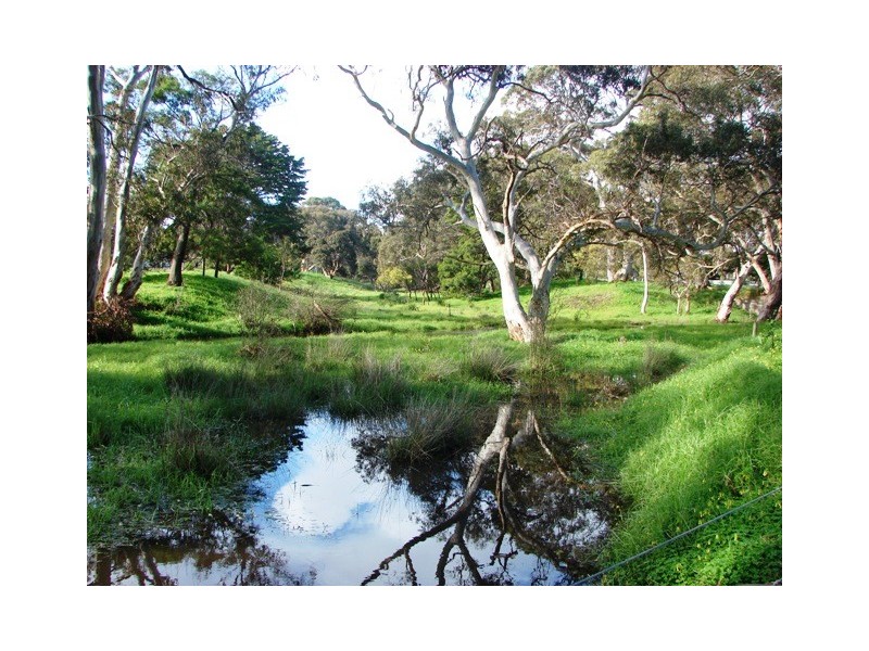 Lot 303 Waitpinga Road, Victor Harbor SA 5211