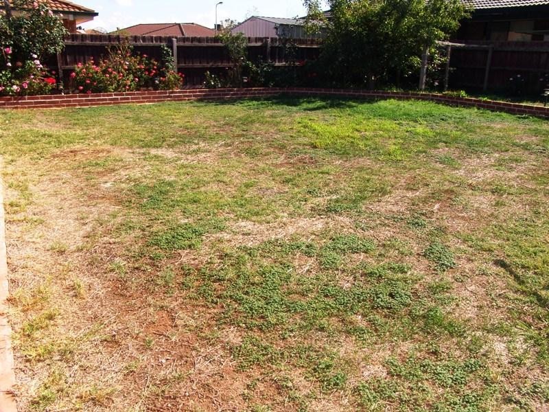 8 St Lawrence Close, Werribee VIC 3030