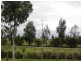 20 Parkwood Terrace, Point Cook VIC 3030