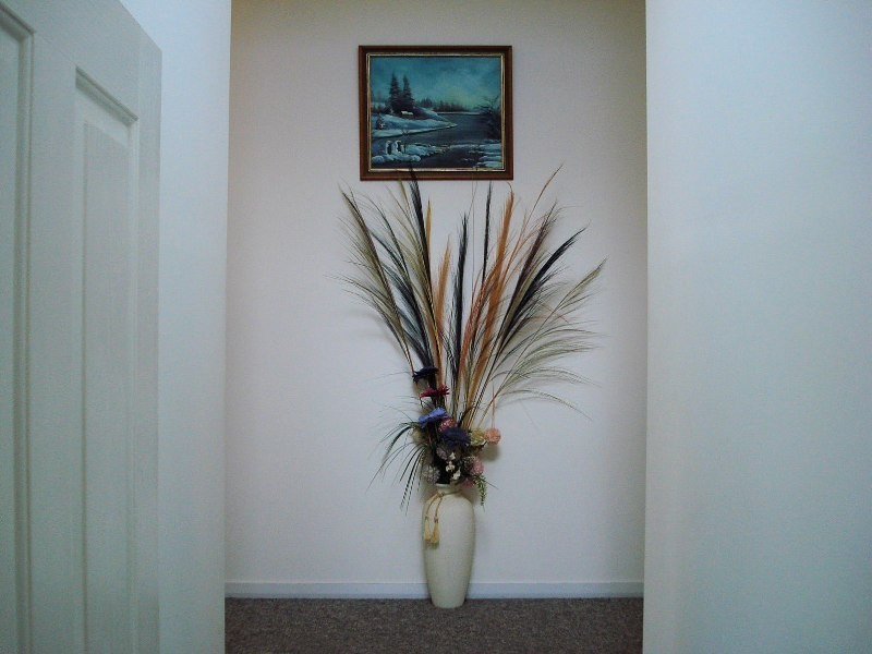 19 Hardys Court, White Beach TAS 7184