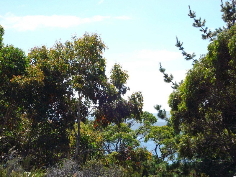 18 Dog Bark Road, Port Arthur TAS 7182