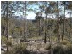 Lot 1 Phipps Road, Runnymede TAS 7190