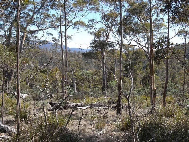 Lot 1 Phipps Road, Runnymede TAS 7190