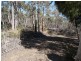 Lot 1 Phipps Road, Runnymede TAS 7190