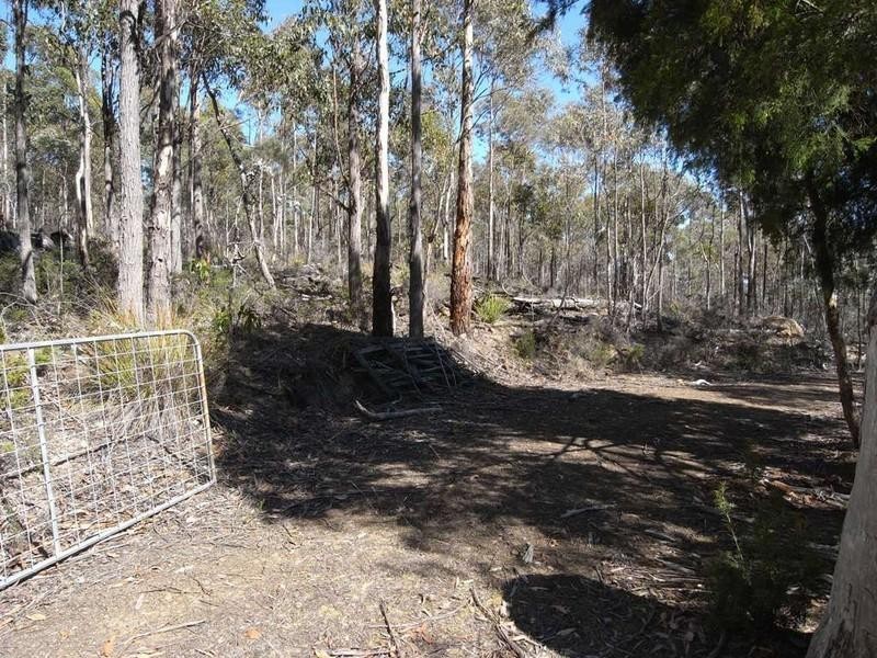 Lot 1 Phipps Road, Runnymede TAS 7190