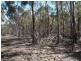 Lot 1 Phipps Road, Runnymede TAS 7190