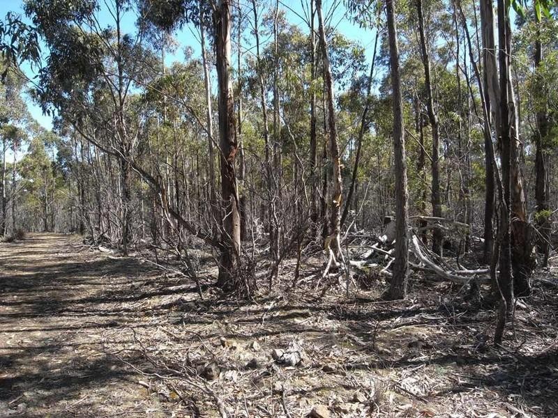 Lot 1 Phipps Road, Runnymede TAS 7190