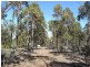Lot 1 Phipps Road, Runnymede TAS 7190