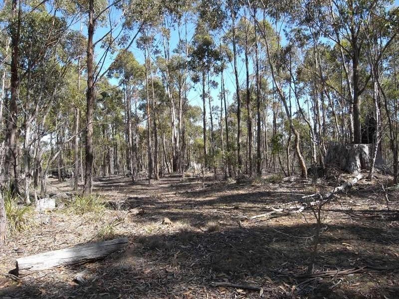 Lot 1 Phipps Road, Runnymede TAS 7190