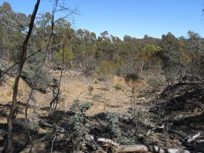 Lot 1 Phipps Road, Runnymede TAS 7190