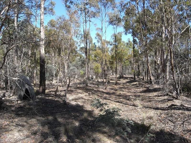 Lot 1 Phipps Road, Runnymede TAS 7190