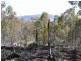 Lot 1 Phipps Road, Runnymede TAS 7190