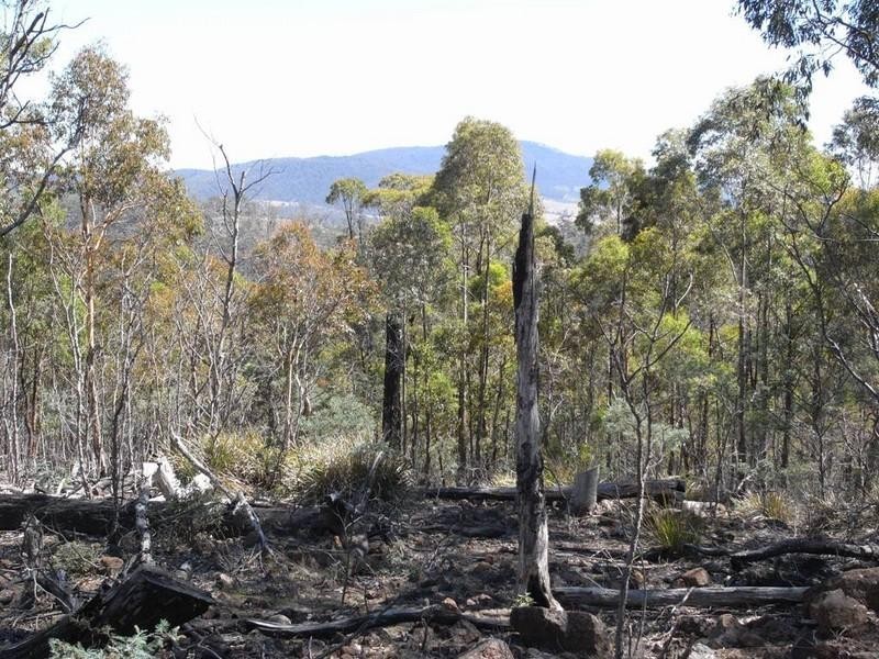 Lot 1 Phipps Road, Runnymede TAS 7190