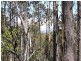Lot 1 Phipps Road, Runnymede TAS 7190