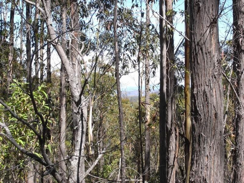 Lot 1 Phipps Road, Runnymede TAS 7190