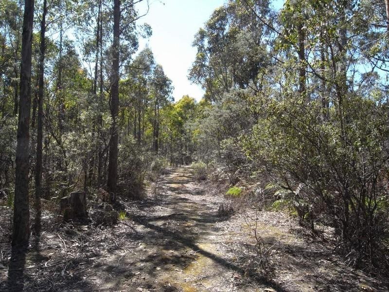 Lot 1 Phipps Road, Runnymede TAS 7190