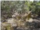 Lot 1 Phipps Road, Runnymede TAS 7190
