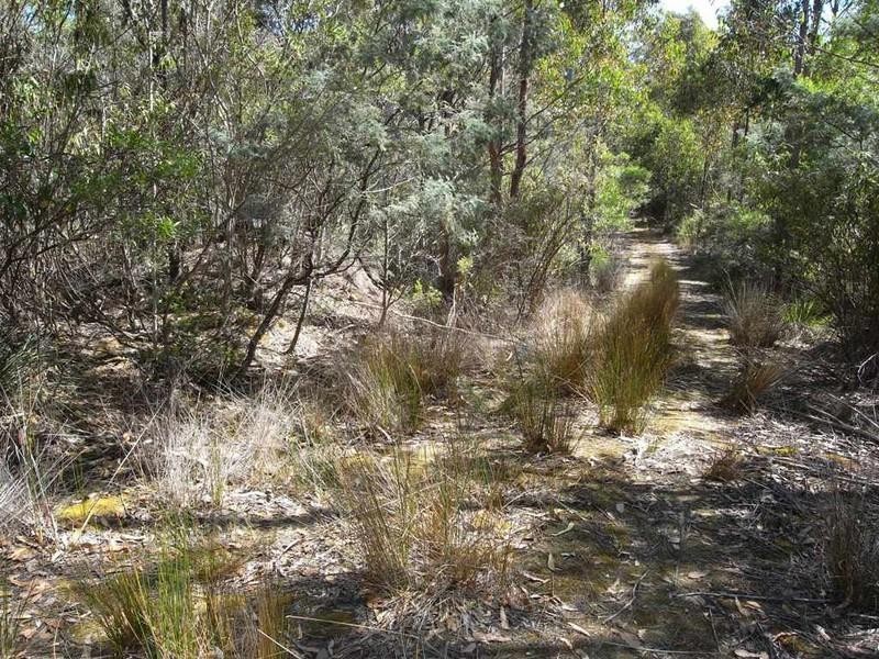 Lot 1 Phipps Road, Runnymede TAS 7190
