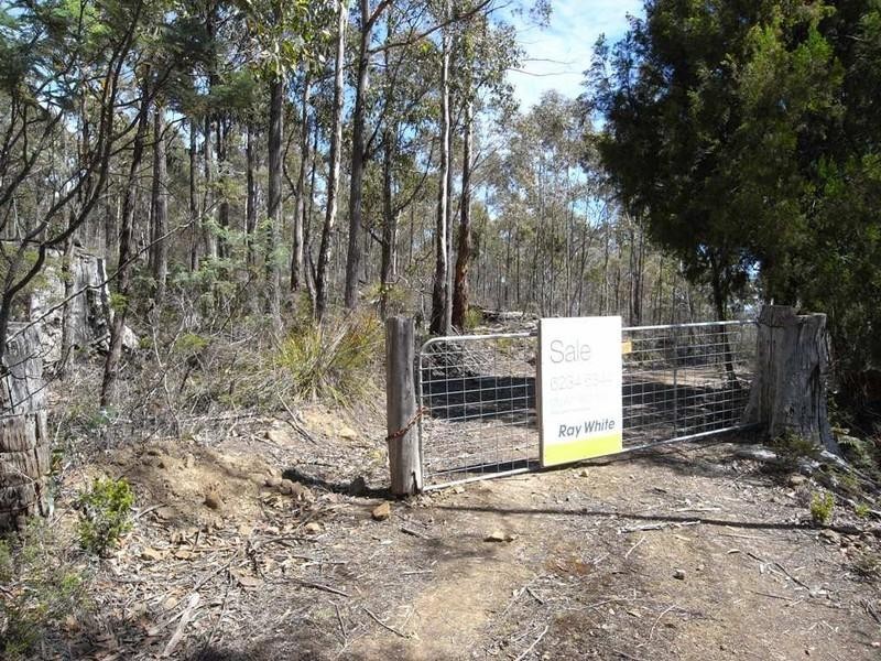 Lot 1 Phipps Road, Runnymede TAS 7190