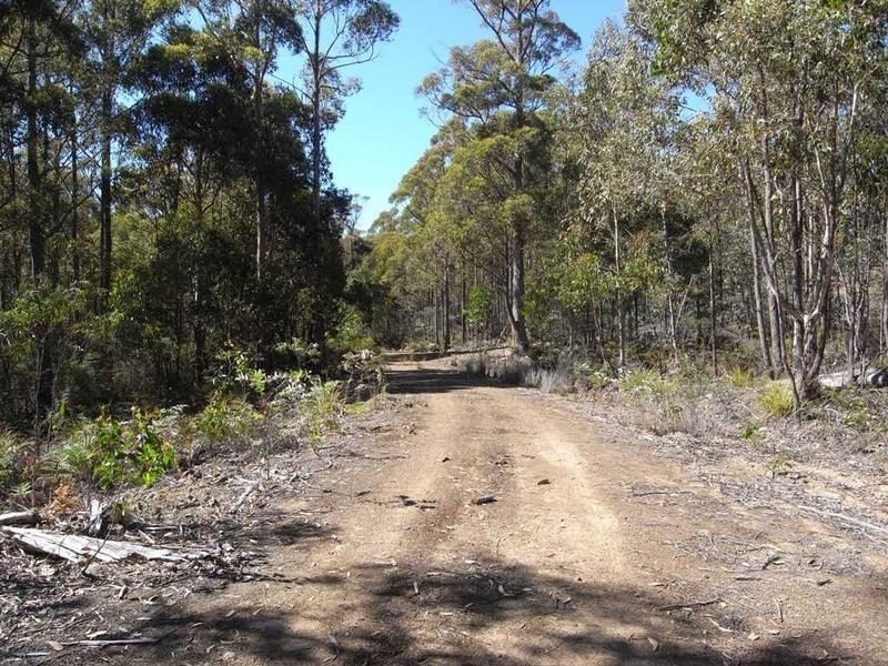 Lot 1 Phipps Road, Runnymede TAS 7190