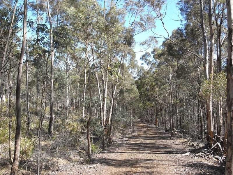 Lot 1 Phipps Road, Runnymede TAS 7190