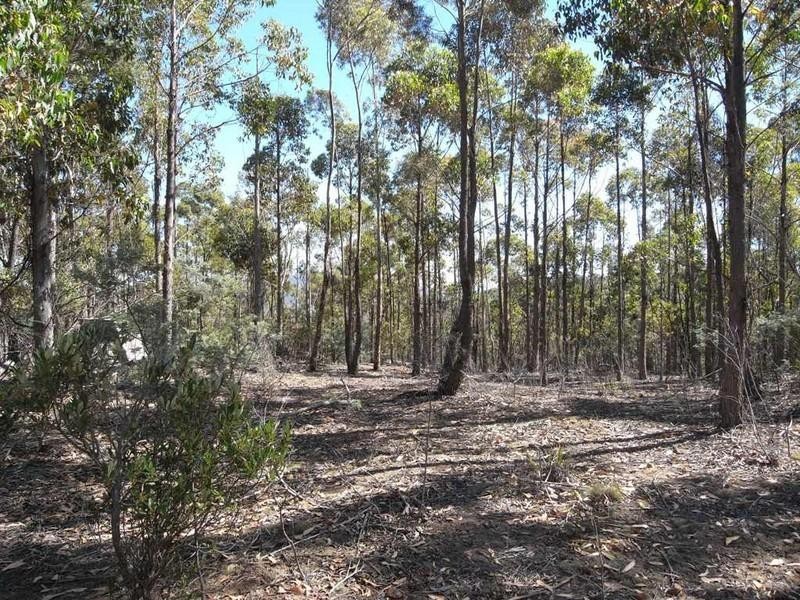 Lot 1 Phipps Road, Runnymede TAS 7190