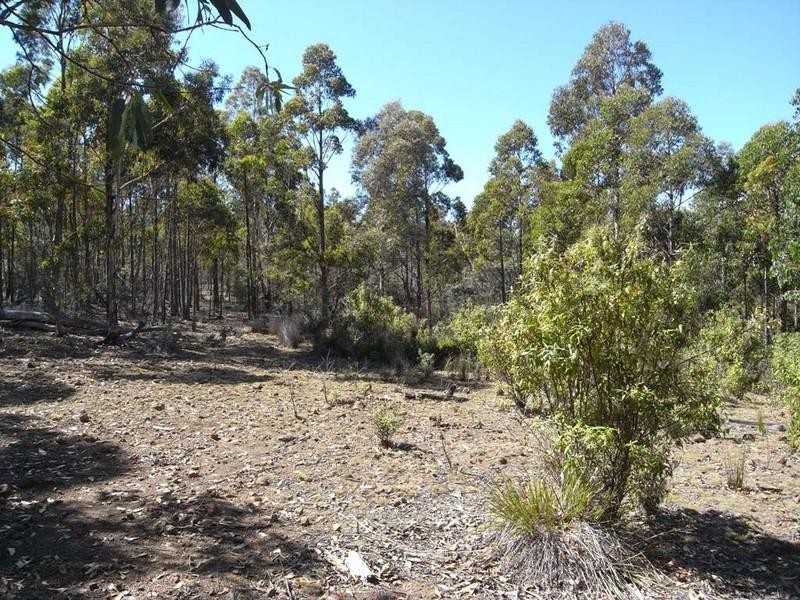 Lot 1 Phipps Road, Runnymede TAS 7190