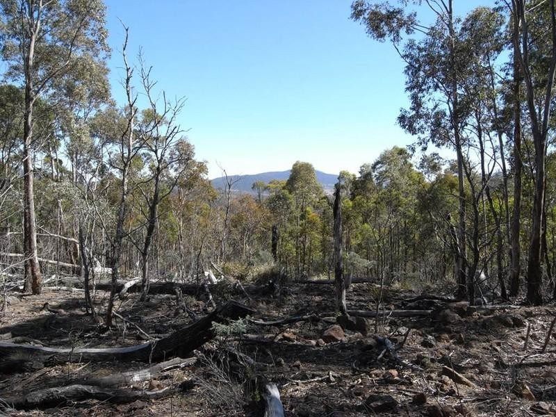 Lot 1 Phipps Road, Runnymede TAS 7190